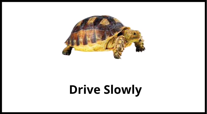 Reasons Why It’s Safer to Drive Slowly If You Are a Beginner