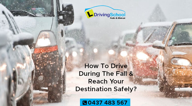 How to Drive During the Fall & Reach Your Destination Safely?